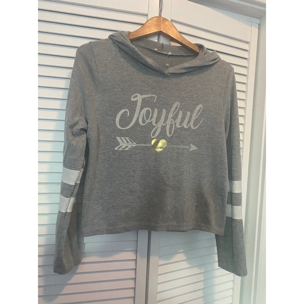 Joyful Graphic Hoodie Heather Grey Varsity Stripe Long Sleeve Sweatshirt